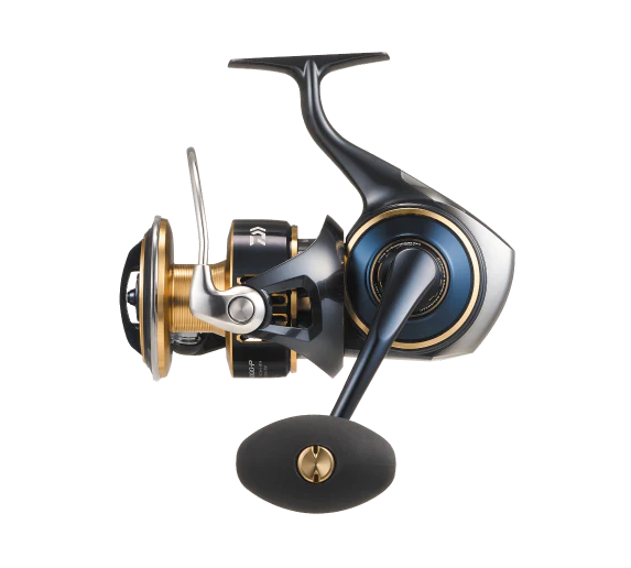 Daiwa 25 Saltiga