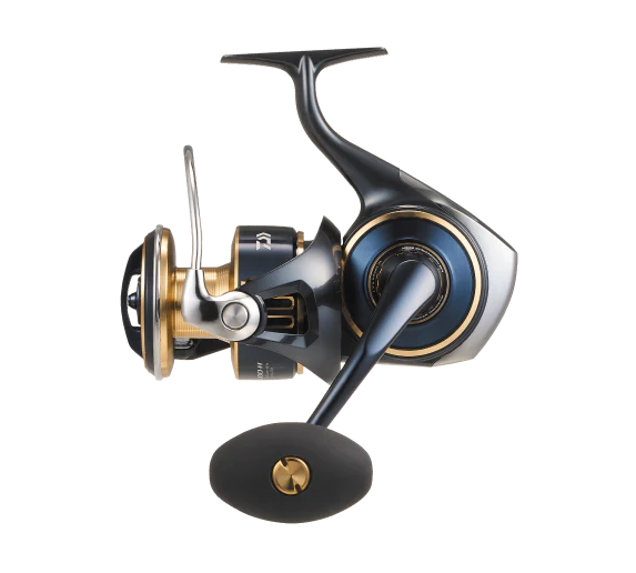 Daiwa 25 Saltiga
