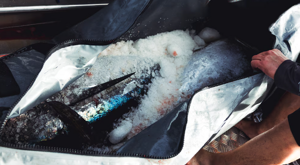 Shimano Insulated Fish Bag