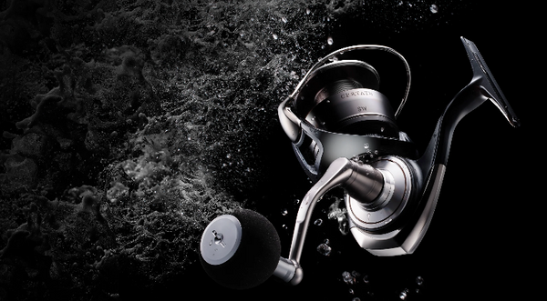 Daiwa 24 Certate SW