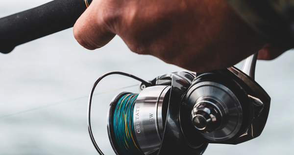 Daiwa 24 Certate SW