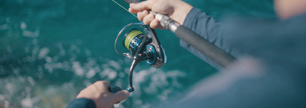 Daiwa Saltist MQ 2021