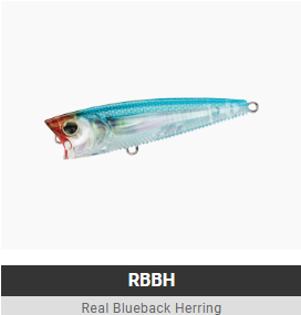 Yozuri 3DB™ POPPER Lures